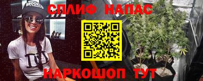 спиды Будённовск