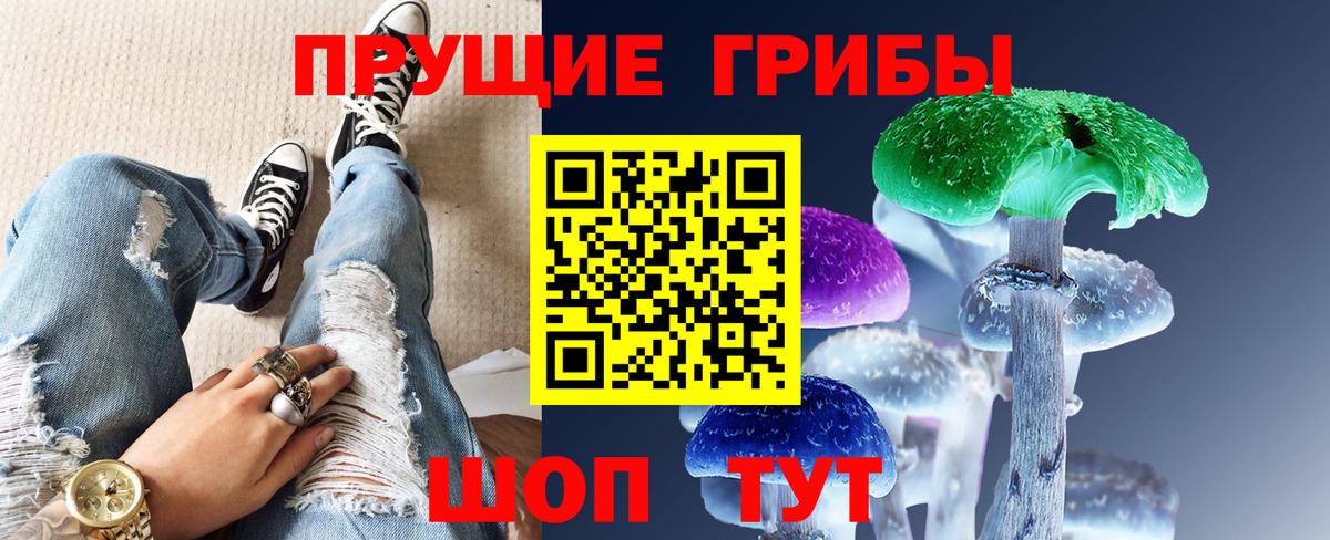 Междуреченск  Галлюциногенные грибы Psilocybe  Вход с VPN  Псилоцибиновые грибы Magic Shrooms 