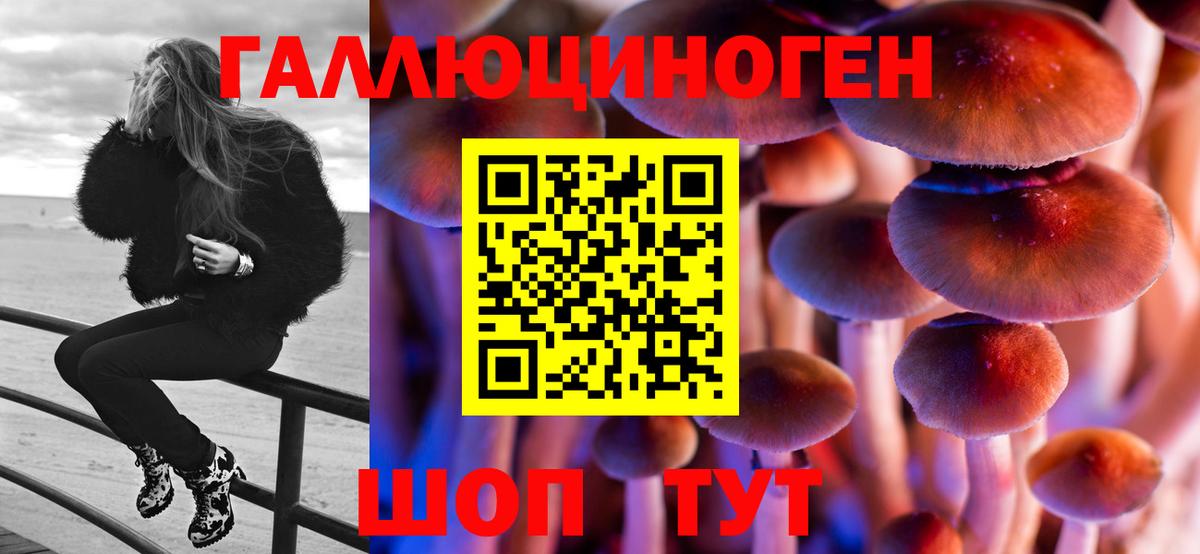 Марихуана  ГАШИШ  Экстази  Междуреченск  Меф МЯУ МЯУ   Вход с VPN  КОКАИН 