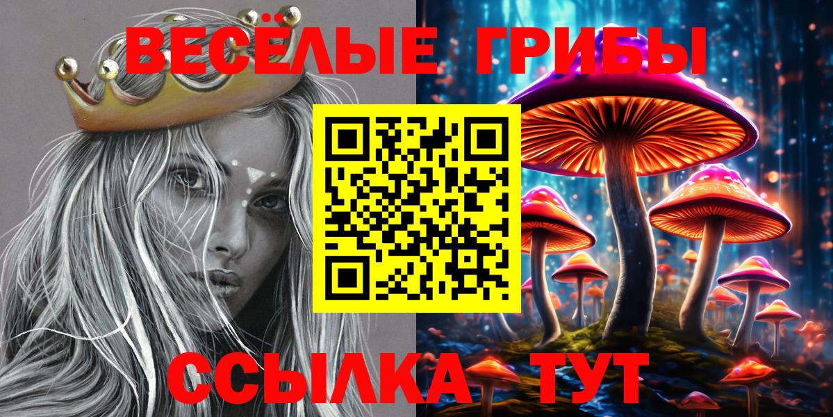 APVP Междуреченск